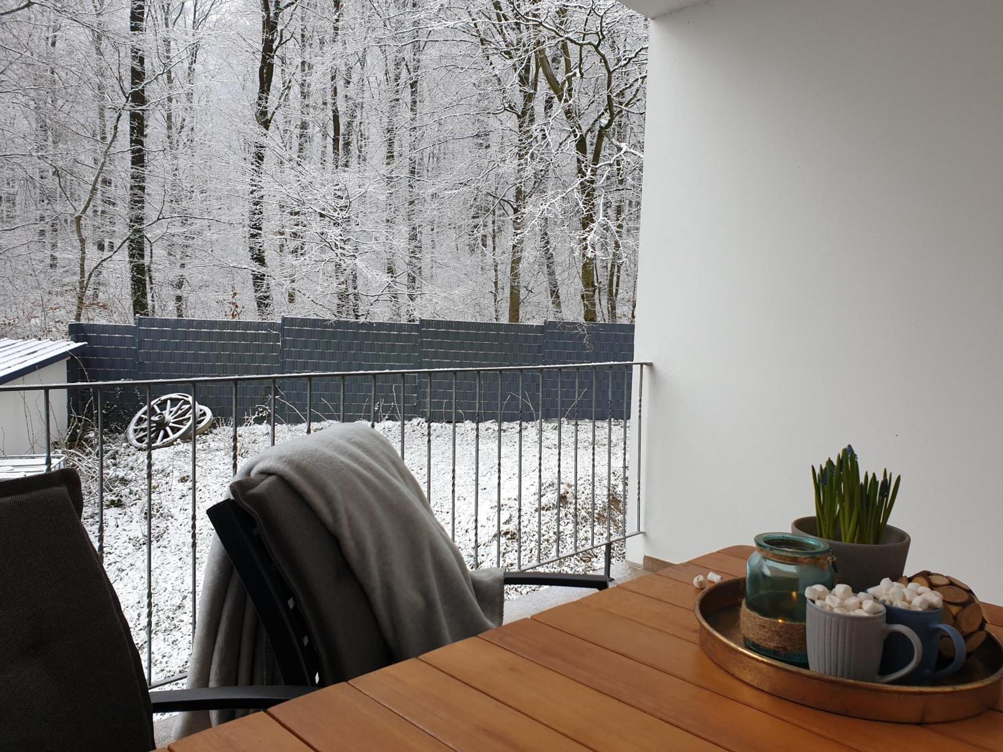 Fewo Winter In Der Villa Waldrand Mit Zwei Balkonen Bad Wünnenberg Dış mekan fotoğraf